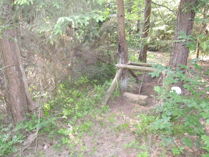 IMG 0496