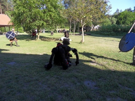 SDC12379