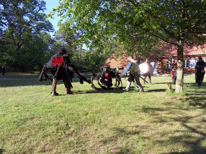 SDC12380.JPG