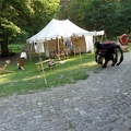 SDC12385
