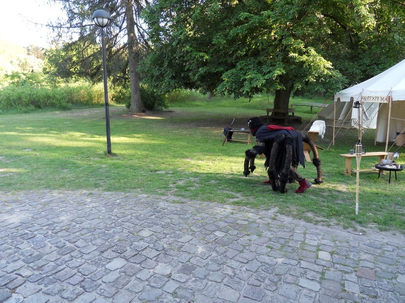 SDC12386.JPG