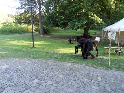 SDC12386