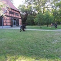 SDC12389