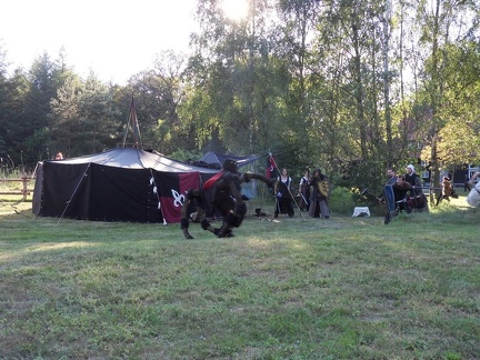 SDC12398