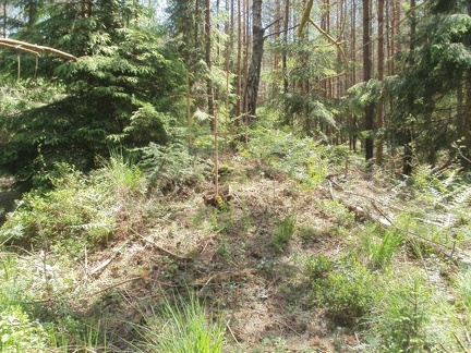 07-Ruhestätte der Friedhof der Freien