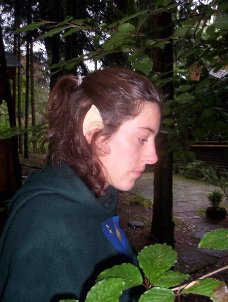 100_4205.JPG
