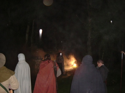 Nebel des GehФrnten