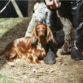 Yorkfeuer 2002 40