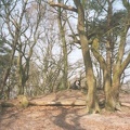 yorkfeuer 2002 marulf 28
