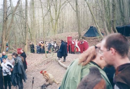 York5
